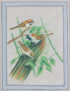 ANÓNIMO S.XX, "Escenas de aves en ramas y flores"