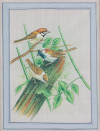 "Escenas de aves en ramas y flores"