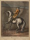 JOHANN ELIAS RIDINGER, "Serie Ecuestre", Pareja de grabados