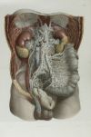 JEAN - MARC BOURGERY, "Traité complet de l’anatomie de l’ho