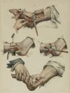 JEAN - MARC BOURGERY, "Traité complet de l’anatomie de l’ho