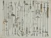 JEAN - MARC BOURGERY, "Traité complet de l’anatomie de l’ho