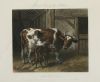 J. HARRIS Y W. SUMMERS, "Cerdos", "Gallinas", "Patos" y "Va