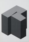 ELENA ASINS , "Euskaldún 4" y "Euskaldún 5", 2001, Inyecció
