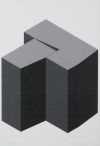 ELENA ASINS , "Euskaldún 4" y "Euskaldún 5", 2001, Inyecció