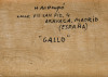 MANUEL HERNÁNDEZ MOMPÓ, "Gallo", 1959, Óleo sobre lienzo