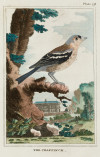 "Aves", 1812