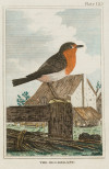 "Aves", 1812