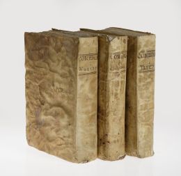Lot 937