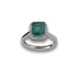 Lot 1554