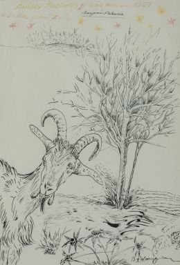 Lot 16