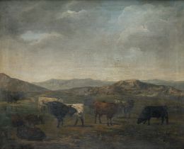 Lot 849