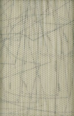 Lote 219