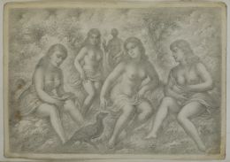 Lote 528