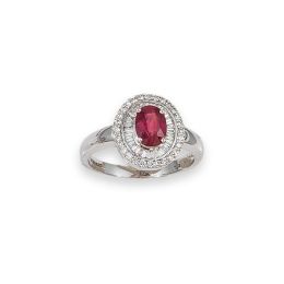 Lote 1557