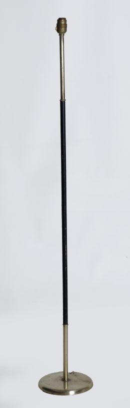Lote 310
