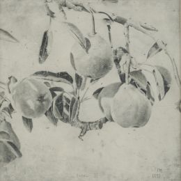 Lot 314