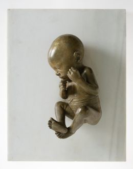 Lot 349