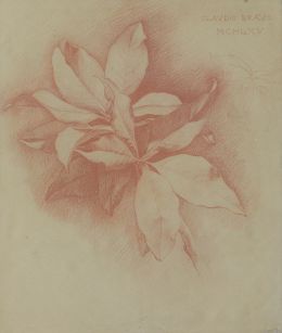 Lot 313