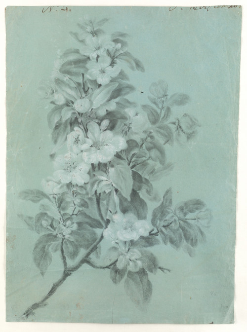 ESCUELA VALENCIANA  S.XVIII/S.XIX, "Ramillete de flores", G