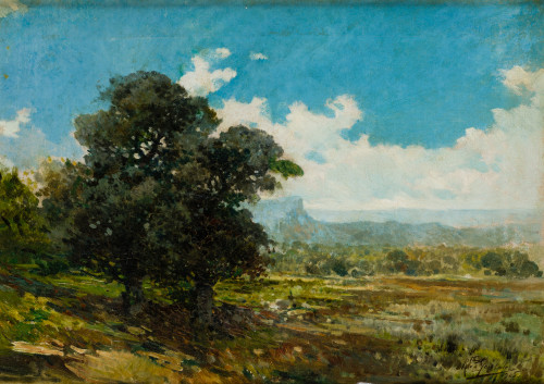 ESCUELA ESPAÑOLA, "Paisaje de campo", 1905, Óleo sobre lien
