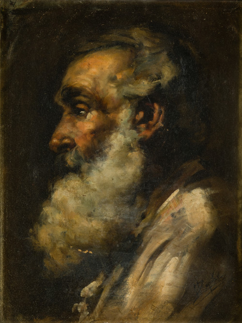 Zapater "Anciano" o/l 