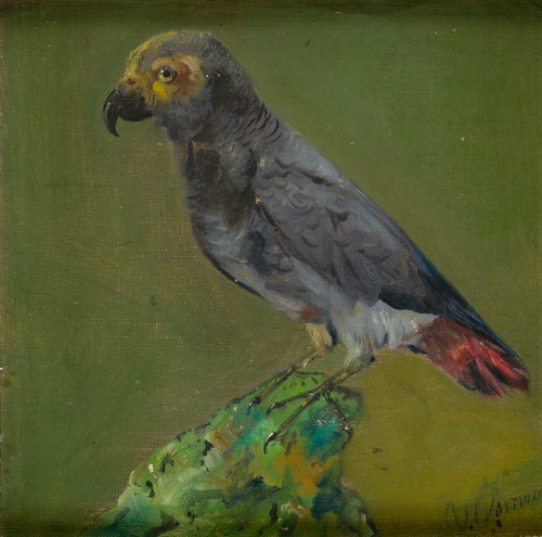 ESCUELA CENTROEUROPEA Pps. S.XX, "Loro", Óleo sobre lienzo.