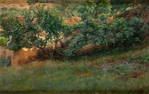 "Paisaje deAnticoli Corrado", 1905
