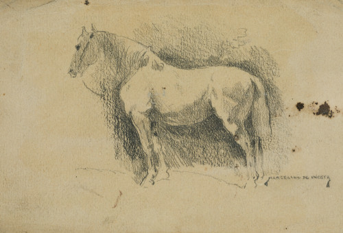 MARCELINO DE UNCETA, "Caballo", Grafito sobre papel