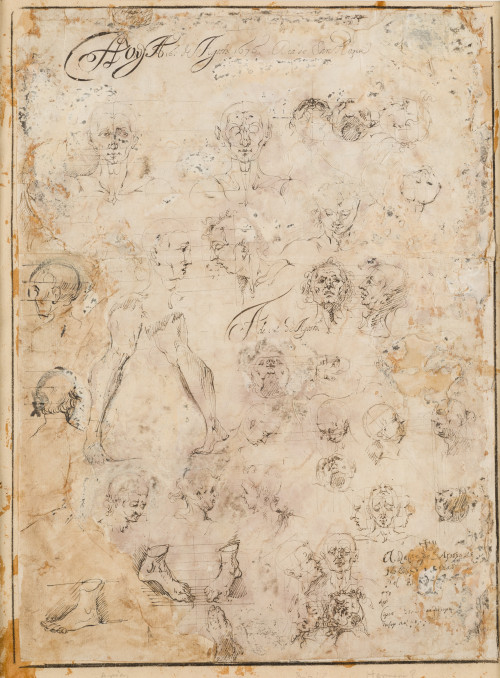 ESCUELA ESPAÑOLA S. XVII, "Estudios anatómicos", 1676, Tint