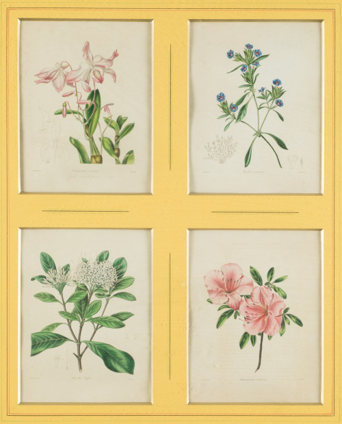 BENJAMIN MAUND, "Flores", Cuatro grabados