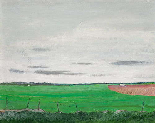 MANUEL  DE LAS CASAS, "Paisaje de campo", 2001, Óleo sobre 