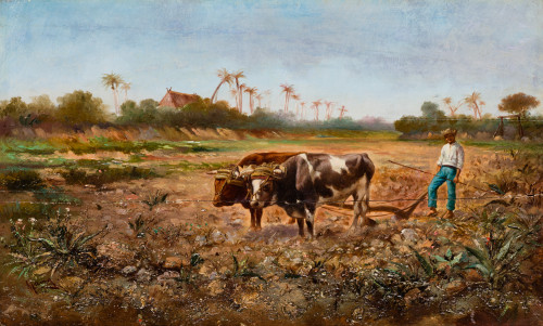RICARDO  MARÍN Y LLOVET, "Yunta de bueyes en una plantación