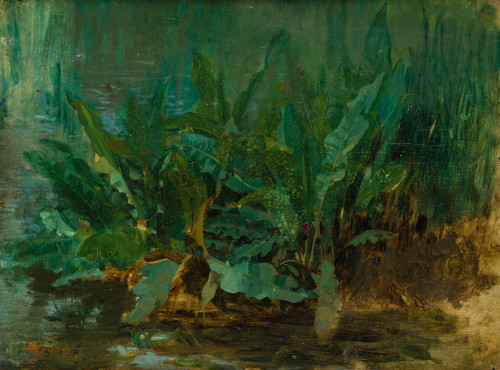 GABRIEL GUAY, "Vegetación exótica", Óleo sobre tabla