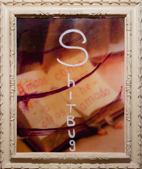 JULIAN SCHNABEL, "Shitbug 3", 2003, óleo, resina e impresió