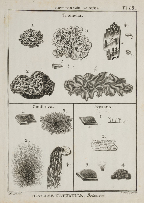 ROBERT BENARD Rosny-sous-Bois, France (1731) / Paris, Franc