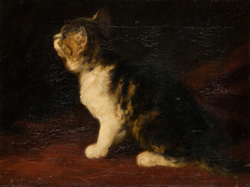 LOUIS EUGÈNE LAMBERT, "Gato", Óleo sobre lienzo