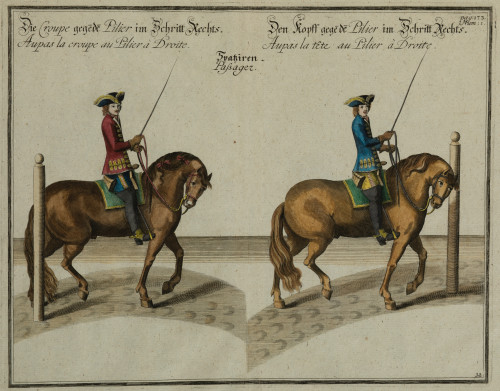 WILLIAM CAVENDISH, DUKE OF NEWCASTLE, "La Doma clásica", Do