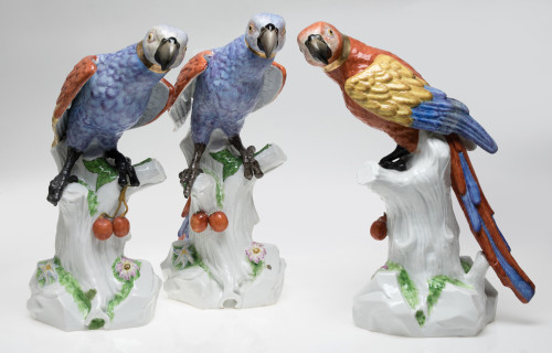 "Parrot", following Meissen models, Samson manufacture, Fra
