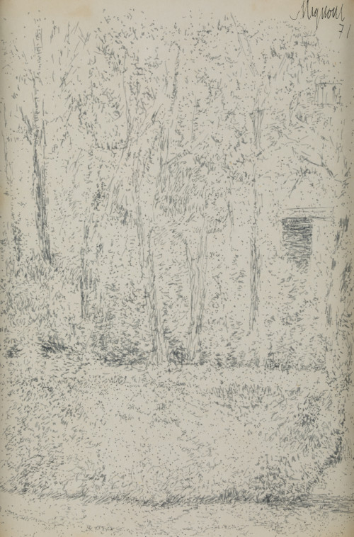 FERNANDO MIGNONI GUERRA, "Árboles, 1971, Tinta sobre papel
