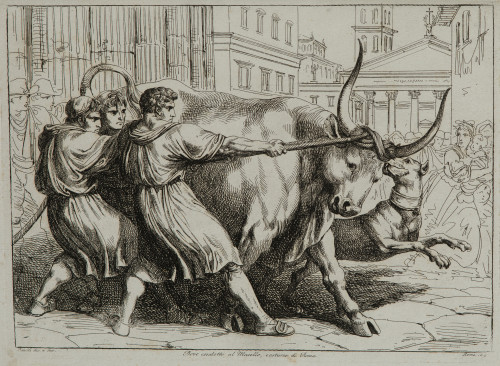 BARTOLOMEO PINELLI Rome, Italy (1781) / (1835) "Bove condot