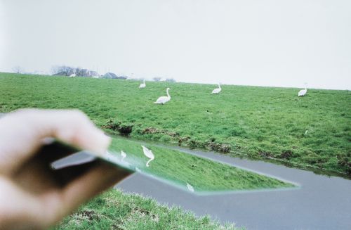 MARIJKE VAN WARMERDAM, "Duck", 2008, Fotografía
