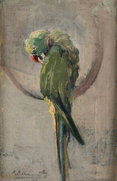 OCTAVO BIANQUI SÁNCHEZ, "Catatua", Óleo sobre tela