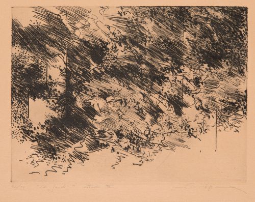 FERNANDO ZÓBEL DE AYALA, "El jardin estado IV", 1973, Aguaf