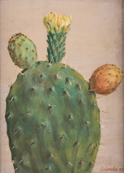 RAFAEL CIDONCHA, "Cactus", 1983, Óleo sobre lienzo pegado a