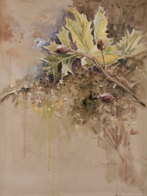 ALWIN VAN DER LINDE, "Hojarasca", Acuarela y pastel sobre p