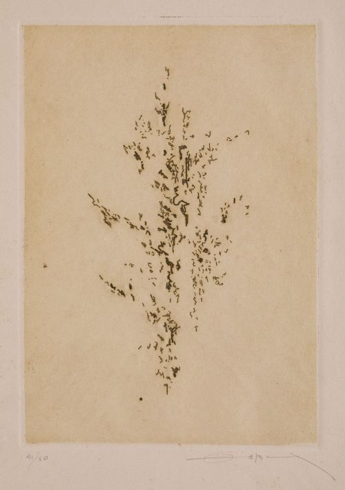 FERNANDO ZOBEL DE AYALA Manila, Philippines (1924) / Rome,