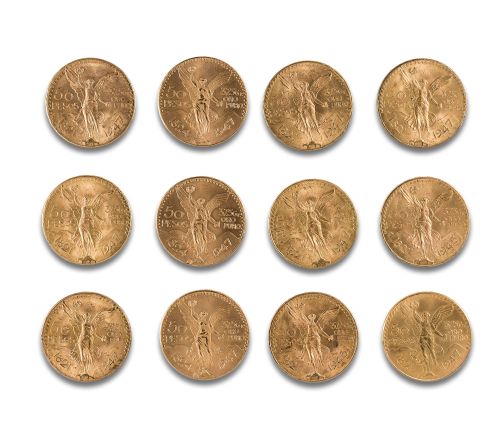 12 MONEDAS DE 50 PESOS MEXICANOS EN ORO AMARILLO