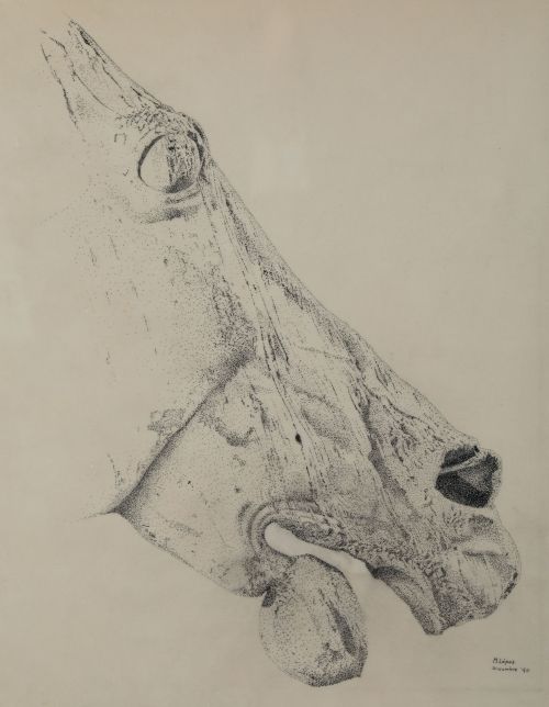  ESCUELA ESPAÑOLA, "Cabeza de caballo”, 1980