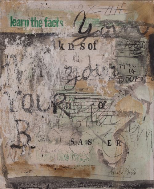 SARAH GRILO Buenos Aires (1919) / (2007) “Learn the facts",